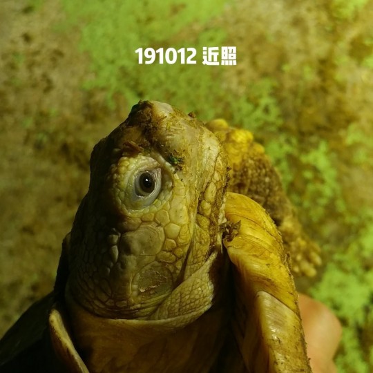 005437kdpassloa7zg27ba.jpg