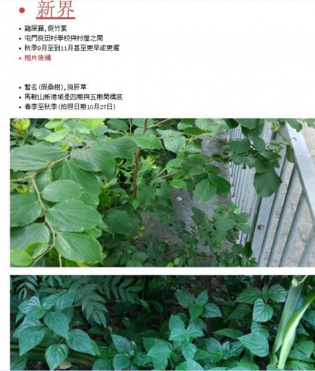 011926l31a3kz2np931k9s.jpg