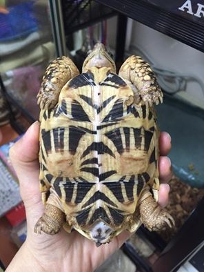 013405w6zpofpx9p89lzn6.jpg