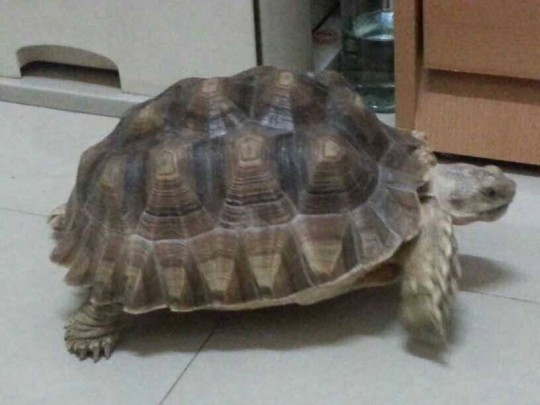 013434y6zuti6l6rk6u0of.jpg