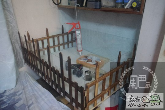 000741wemd4i6t2tl99ckd.jpg