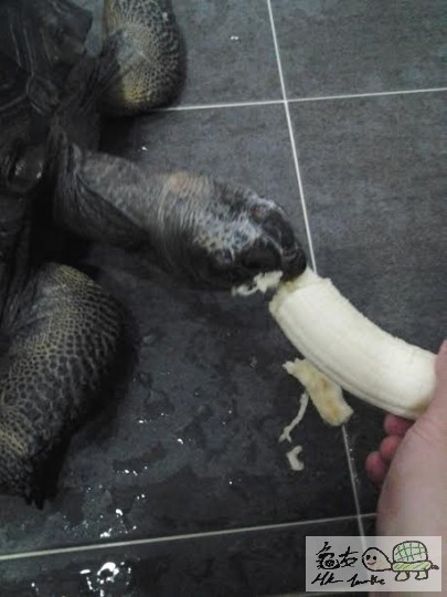 102250qolih8zgga7ohtg0.jpg