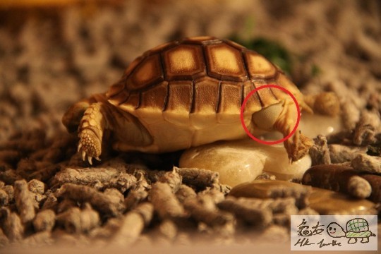 102654b9p99hvziit9tnd9.jpg