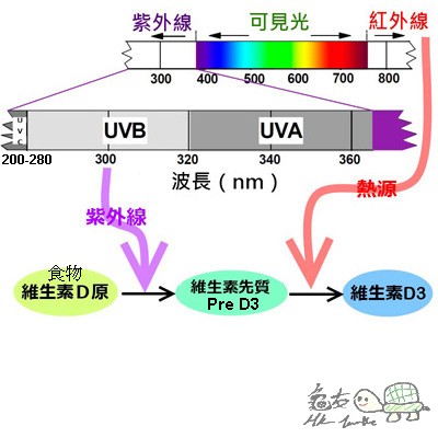 103008hfvfu5pv2xrv7prf.jpg