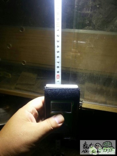 103047btmzyhum7dgzh33h.jpg