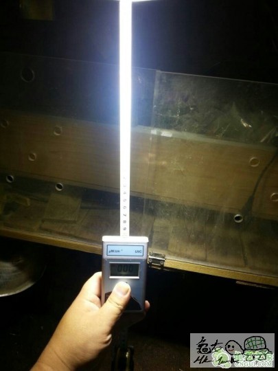 103048bj2ft28zfjo2jgfo.jpg