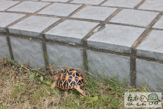 103351qm9iwdfmazu3ffm3.jpg