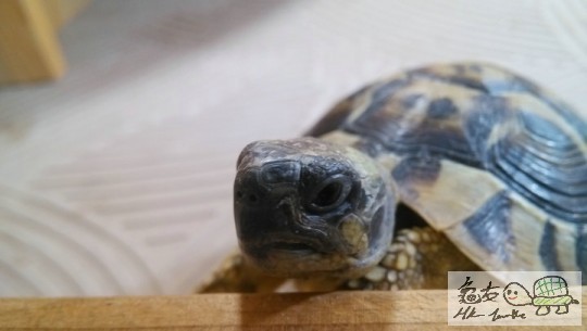 104707npwjijgdjhghpuie.jpg