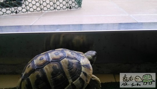 104709spz6qlrl8er0l6h7.jpg