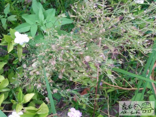 133015jlq5r05j4alvl1e6.jpg