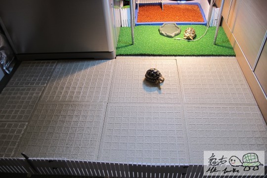 160439t1s6y51165kaz55f.jpg