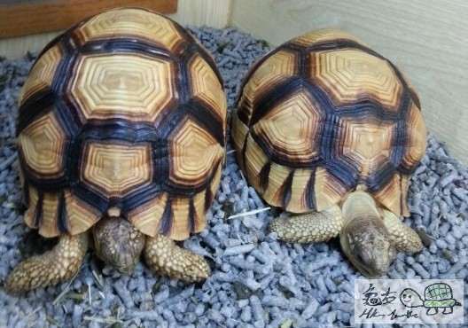160549qm3gfaz7tz4g764m.jpg