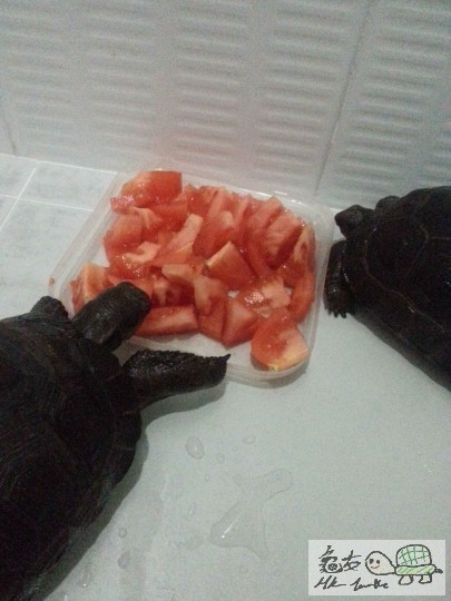 162517w7ytgi4dgihnouh4.jpg