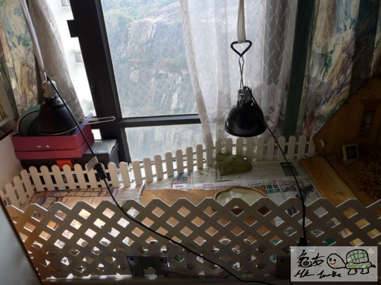 170722pfig7j988g25oof8.jpg