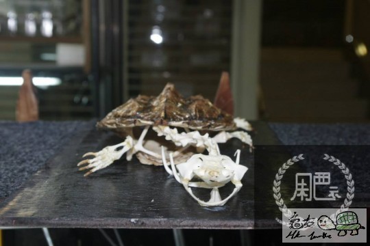170950e0h8n5x45y8giqih.jpg