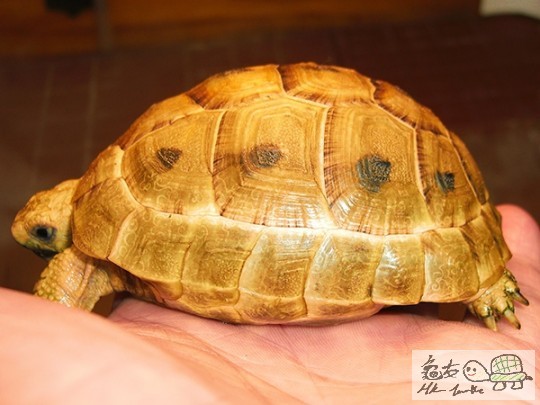 172913cm3b0xcvc13c41yy.jpg