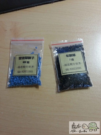 230450qzk4rrh1nlhlg4rz.jpg