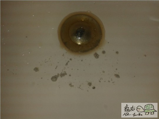 230619qb92w8yc9fb9njx8.jpg
