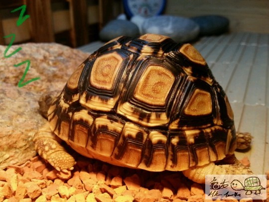 122022ginjj20f07yeftww.jpg
