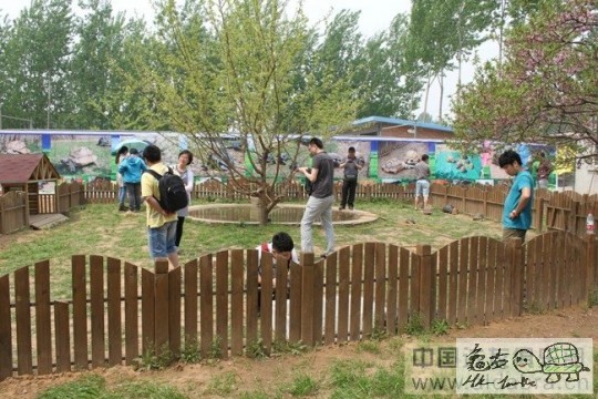 124005lpqagqqaagqzsh00.jpg