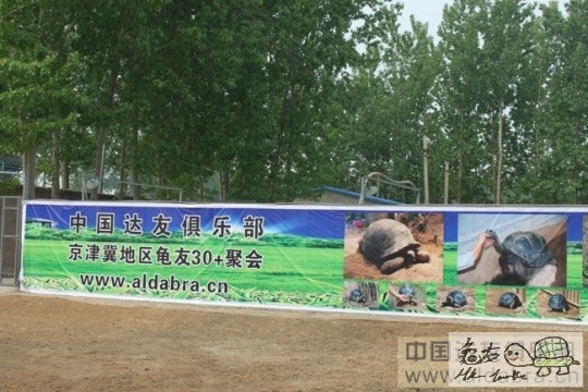 124007g0j59ij92uz554ib.jpg
