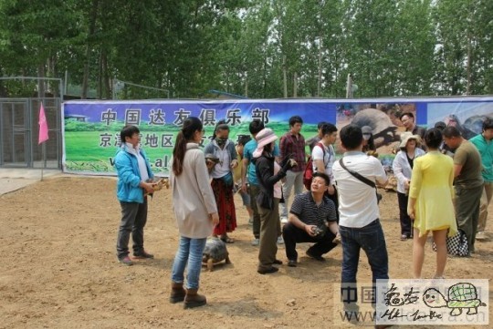 124806uap7cq38no7n6enc.jpg