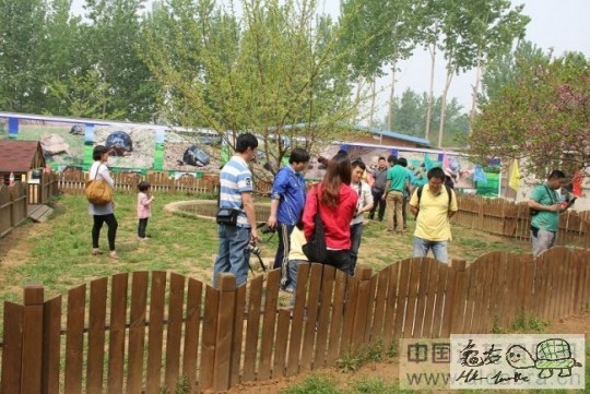 124849fpb21pgvaap22kaa.jpg