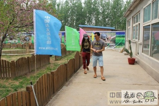 124852hsoo11xsdp0kzcds.jpg