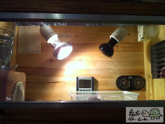 220123h05j99znz7j504o7.jpg