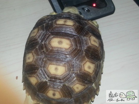230807e8isb3b405ixu70m.jpg