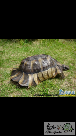 231525hse9ki7dwjdf6il0.png