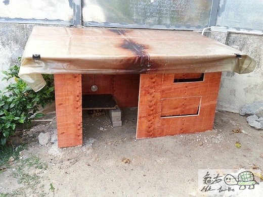 114316p9i9oeu3zy9nyruy.jpg
