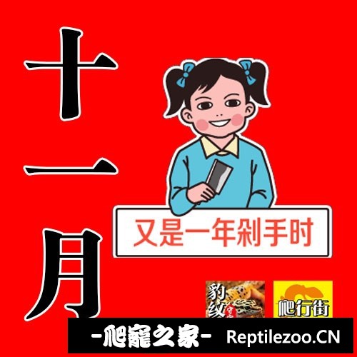 193948hqmcqwwiyyzu7m80.jpg