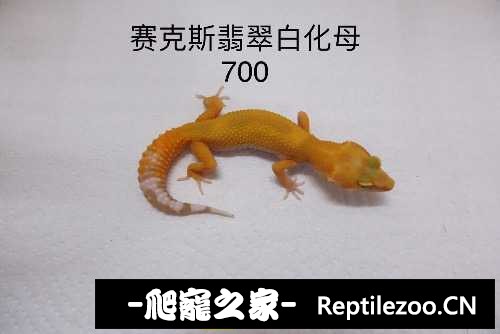 194238cfr7tojr1nfozuhn.jpg