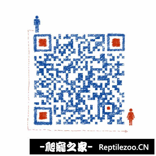 194244zjx51kr5h5zwh5p0.png