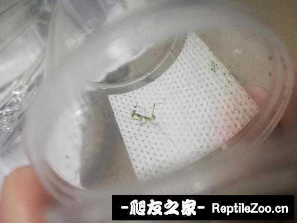 223509nqz0m2k092msukhb.jpg