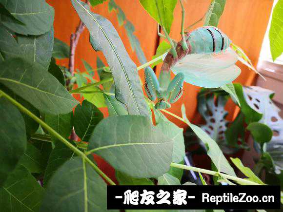 063634c1wpkjj1u9uu9w53.jpg