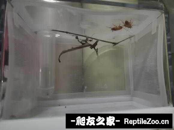 083532luuqj2geue8i8m2u.jpg