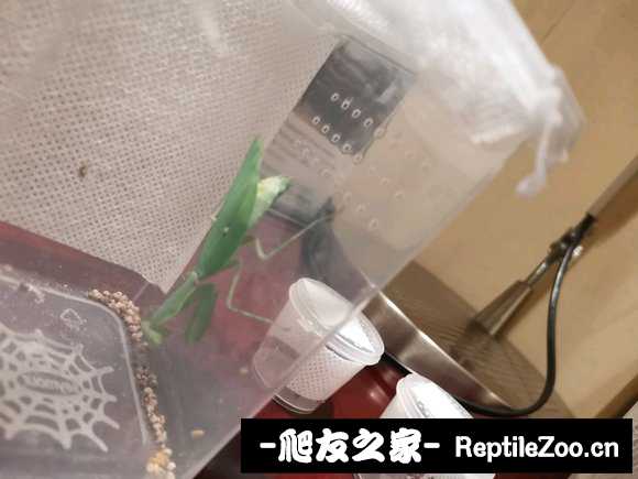 210218p66gdiqzzi2q2656.jpg