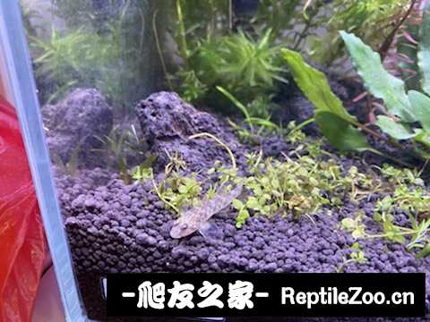 120104ial86adjf8rd6afe.jpeg