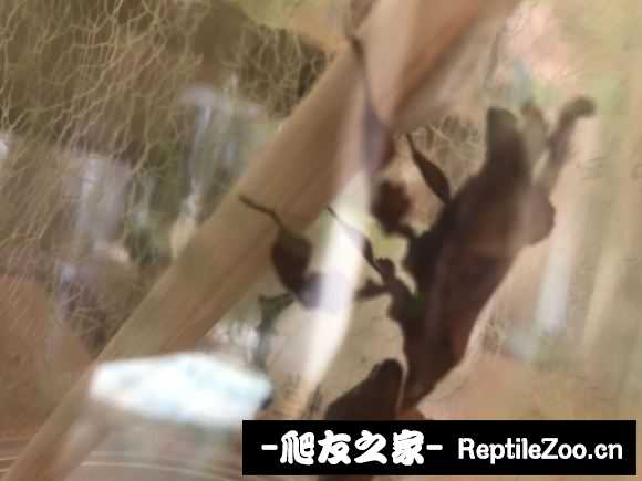033242rtjofatbdjddtudt.jpg