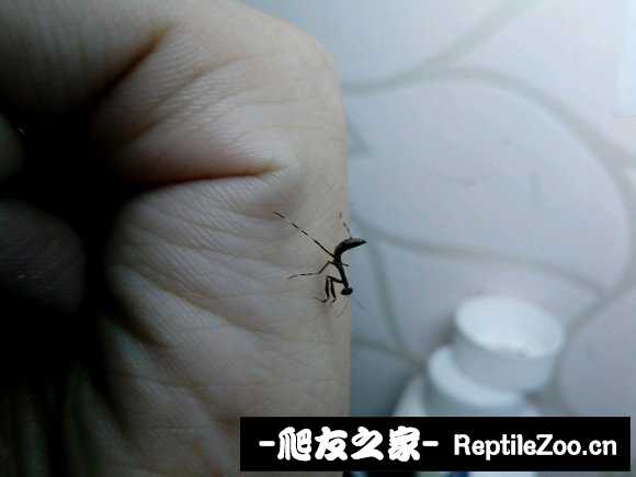 034214v646o6pejwkwzch4.jpg