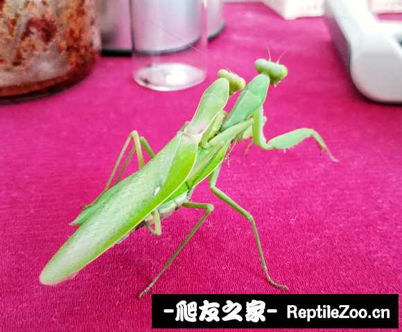 040544d3k3rr1rwvw99d7q.jpg