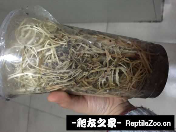 134014fo6a9koe695yayor.jpg