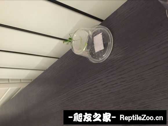 134014kb24b40bzb2cuqut.jpg