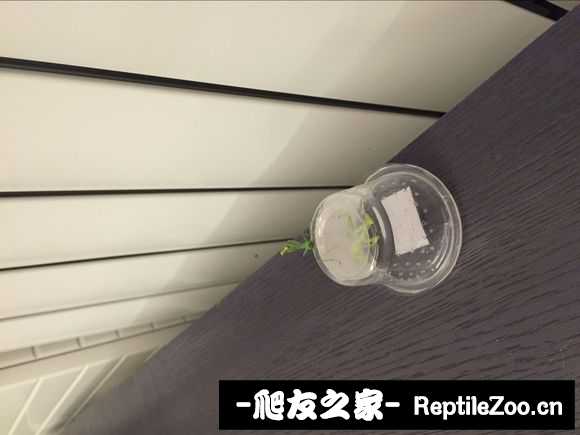 134014z652kcsox7p2uicc.jpg