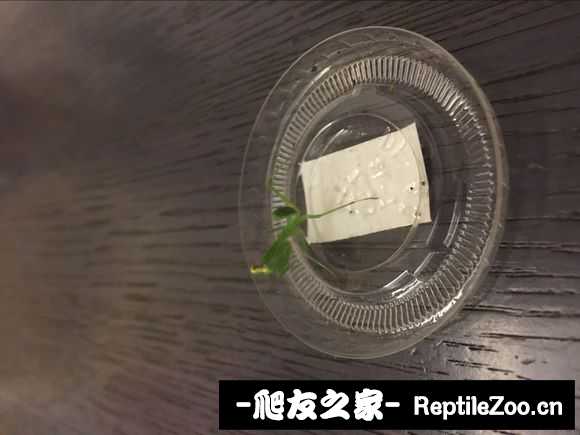 134016ui9tpppllzjpl9pn.jpg