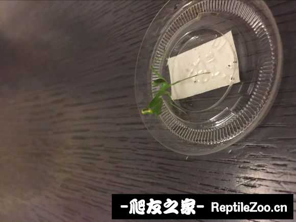 134017mfksc4feelk722f8.jpg