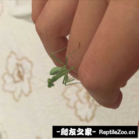 134023ch11pawh9hvwehqv.jpg