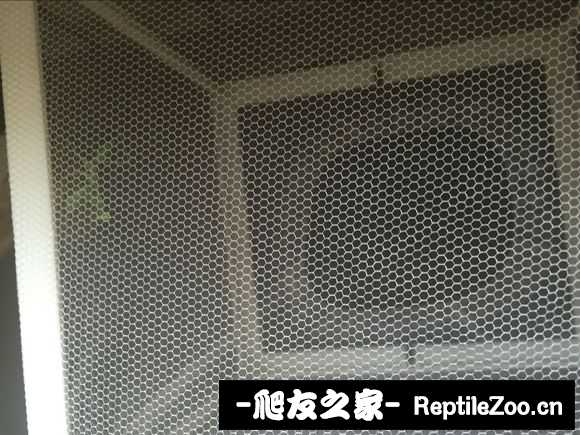 134025n2td82h222wpzfez.jpg